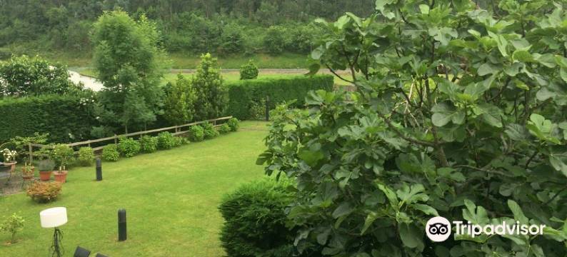 卡瑟纳索玛霍兹旅馆(La Casona de Somahoz)图片