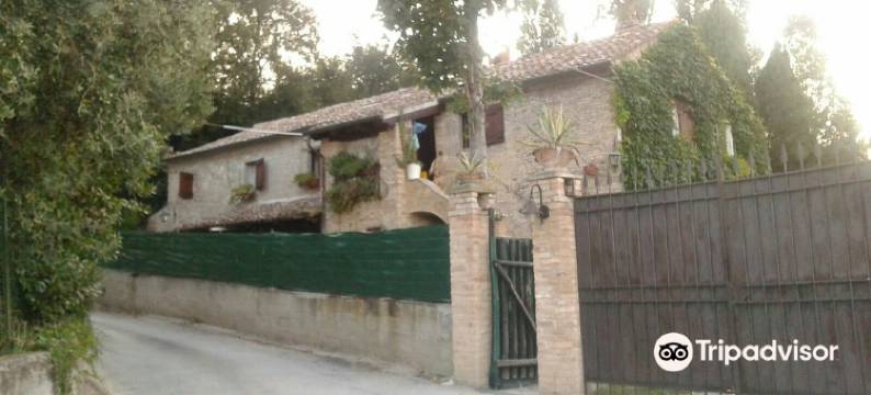 B&B Vista Sul Mare图片