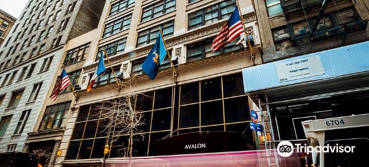 阿瓦隆酒店(Avalon Hotel)图片