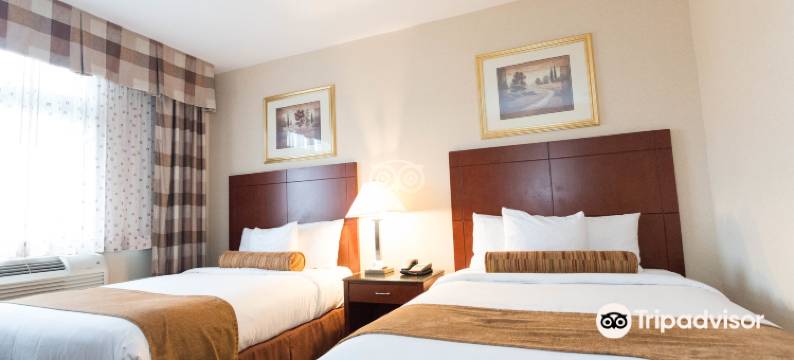 Best Western Plus Arena Hotel图片