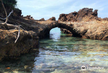 Stone Bridge景点图片