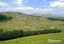 Alta Montagna Bio s.s.景点图片