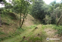 The Site of Oshima Castle (Daijo Park)景点图片