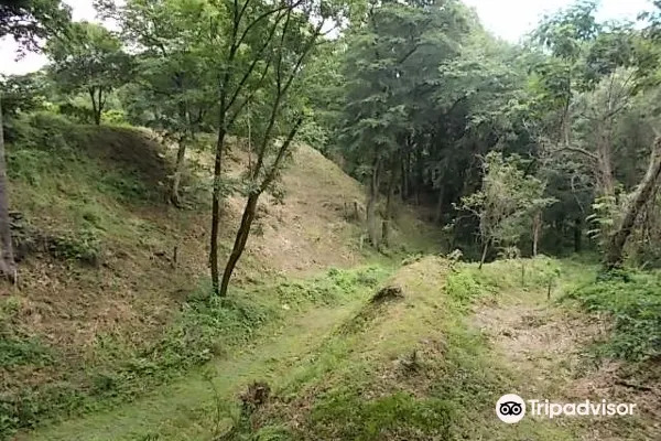 【The Site of Oshima Castle (Daijo Park)參觀攻略2026】門票優惠、開放時間及交通地址一覽 - 永安旅遊