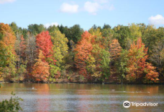 Milne Dam Conservation Park景点图片