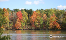 Milne Dam Conservation Park-万锦