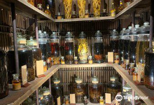 Fito Museum - Museums of Traditional Vietnamese Medicine & Pharmacy景点图片