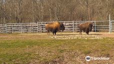 Thuringian Zoo Park, Erfurt-埃尔福特