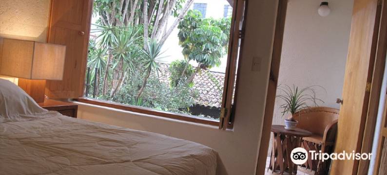 阿比耶塔旅馆(Casa Abierta)图片