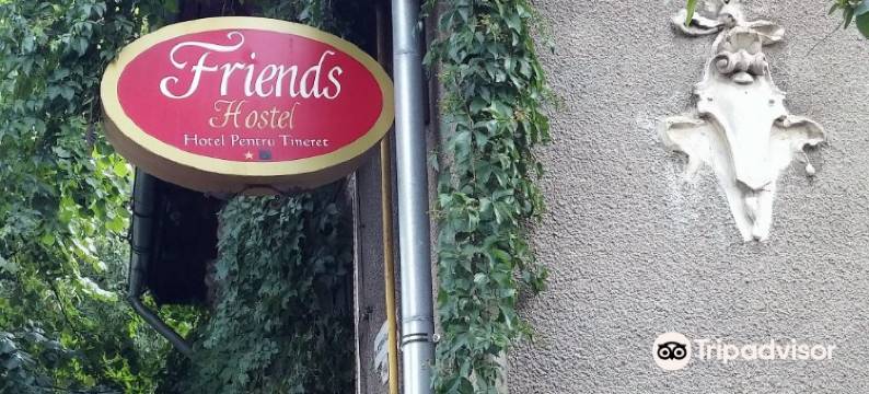 朋友旅馆(Friends Hostel)图片