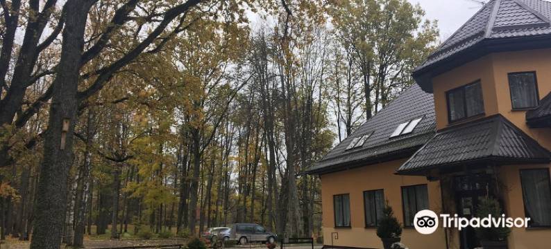 白橡木酒店(Baltu Ozols)图片