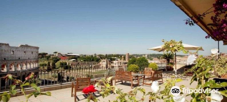 斗兽场宫殿之星旅馆(Colosseum Palace Star)图片