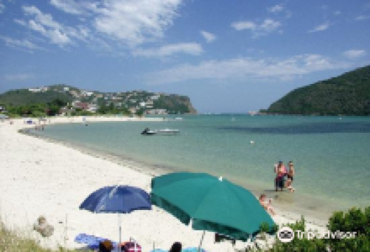 Bollard Bay景点图片