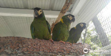 Florida Exotic Bird Sanctuary Inc.-帕斯科县