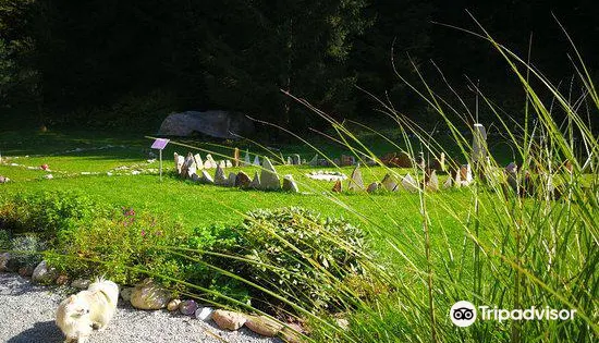 Manas Energy & Healing Park