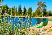 Laguna Lake Park景点图片