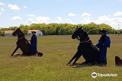 德布勒森大教堂+德里博物馆+Hortobagy国家公园一日游