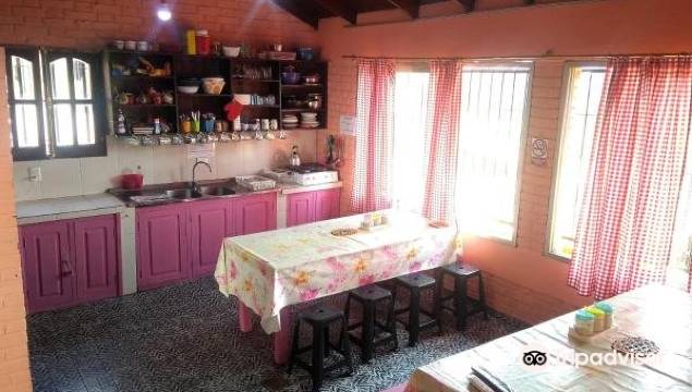 蝴蝶旅馆(Butterfly Hostel)图片