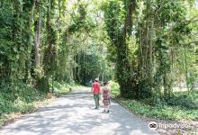 Jardines de Hershey景点图片