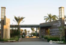 Prince Saud Bin Naif Park景点图片