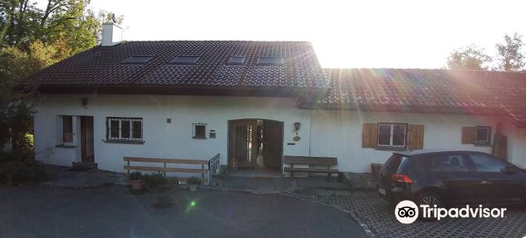 莲花湖别墅酒店(Lake Villa Lotus)图片