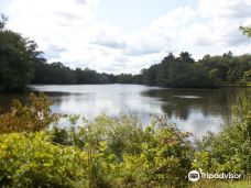 罗杰·威廉姆斯公园-普罗维登斯