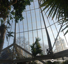 W.W. Seymour Botanical Conservatory-塔科马
