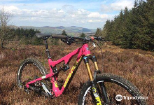 Coed Llandegla Forest景点图片