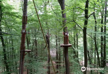 Wald-Abenteuer der Waldkletterpark景点图片
