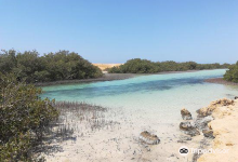 Mangrove Beach景点图片
