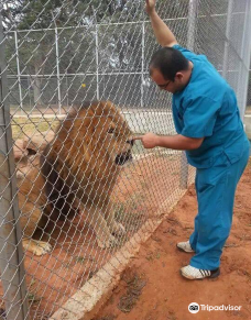 Botanical Garden of Asunción-亚松森