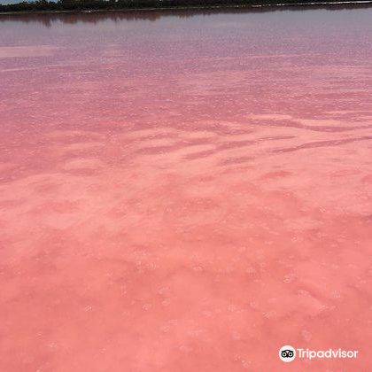 维多利亚Pink Lake一日游