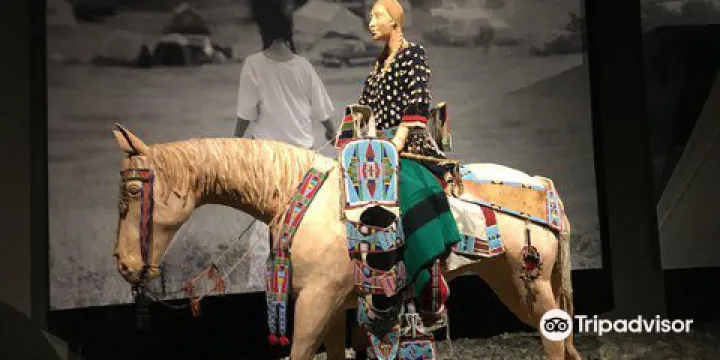 Draper Natural History Museum