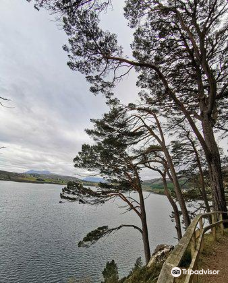 Loch Portree-波特里