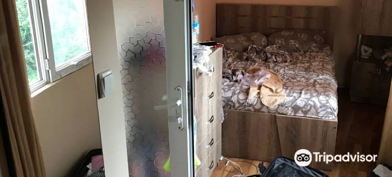 Deluxe Guest House图片