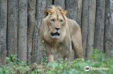 Thuringian Zoo Park, Erfurt-埃尔福特