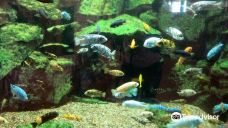 Thuringian Zoo Park, Erfurt-埃尔福特