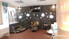 Museum of Archeology and Ethnography of the Siberian Branch of the Russian Academy of Sciences-新西伯利亚