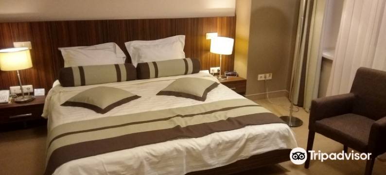 弗拉季卡夫卡兹阿莱克桑德罗福斯基大酒店(Aleksandrovski Grand Hotel Vladikavkaz)图片