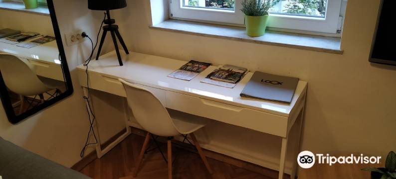 帕摩提切瓦路克斯服务式公寓酒店(Loox Serviced Apartments Palmoticeva)图片