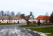 Kloster St. Marienthal景点图片