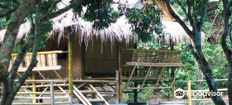 清凉香蕉乡村民宿(Cool Bananas Homestay)图片