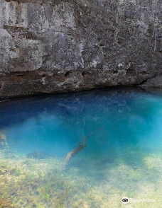 Blue Springs-蓝泉城