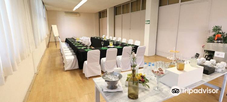 米西翁阿瓜斯卡连特斯卵苏尔酒店(Hotel Misión Aguascalientes Zona Sur)图片