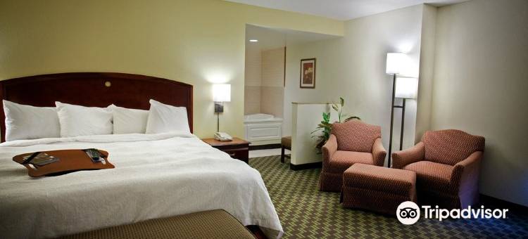 希尔顿欢朋酒店-卡罗尔顿(Hampton Inn Carrollton)图片