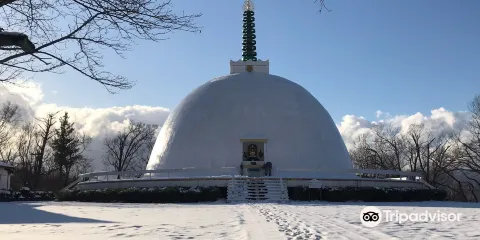 足羽山公園遊園地（動物園）