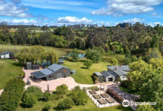 3 Willows Vineyard景点图片