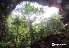 Grotte de Hortense-松树岛