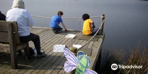 RSPB Langford Lowfields