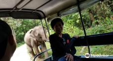 Baanchanghai Elephant Lovers-普吉岛